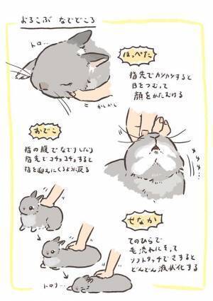 ウサギは、どこをなでれば喜ぶ？　愛するペットを観察した結果に「かわいすぎ」「きゅんとした」