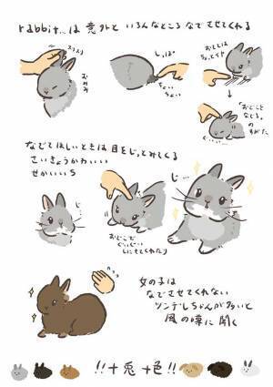 ウサギは、どこをなでれば喜ぶ？　愛するペットを観察した結果に「かわいすぎ」「きゅんとした」