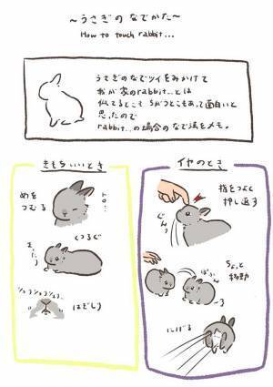 ウサギは、どこをなでれば喜ぶ？　愛するペットを観察した結果に「かわいすぎ」「きゅんとした」
