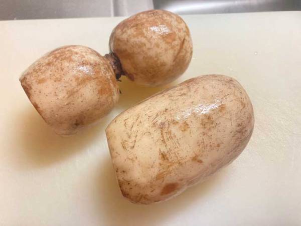 JA全農が投稿した『おでんのレンコン』が話題　切り方を変えて煮てみると？