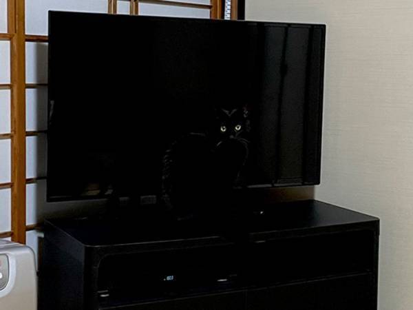 「３０秒見ても気付かなかった」「気付いた人は天才」　写真をよく見てみると…？