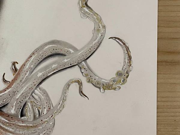 これは本物？それとも…　イカの画像に「すごい」の声が寄せられ理由