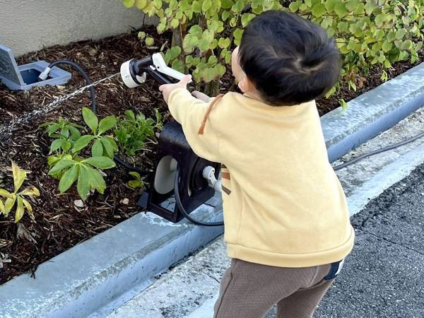 「UFOくらいの大きさに育つかもしれない」　２歳が『水やり』していたモノに反響！