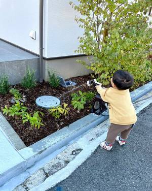 「UFOくらいの大きさに育つかもしれない」　２歳が『水やり』していたモノに反響！