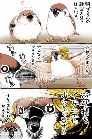 ハト先輩の役に立ちたいスズメ　『羽づくろい』を試みたけど下手で？