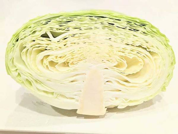 カットキャベツの選び方に反響　芯に注目すると…？