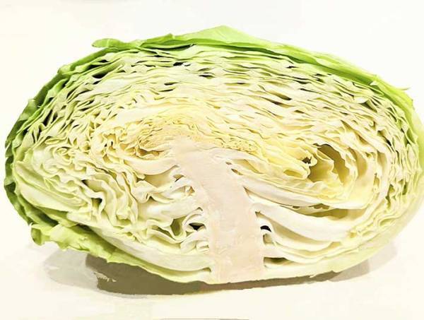 カットキャベツの選び方に反響　芯に注目すると…？