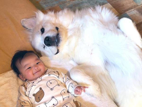 ペットも家族の一員であることが分かる１枚　『姉妹写真』に「一生ものだね」