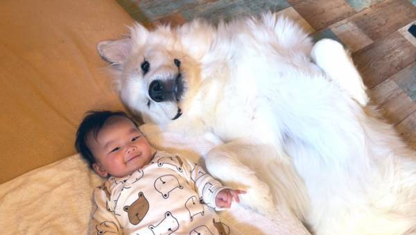 ペットも家族の一員であることが分かる１枚　『姉妹写真』に「一生ものだね」