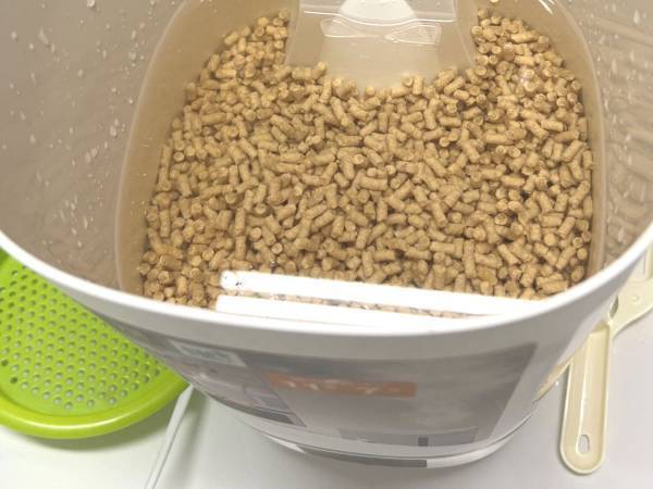 『子育てあるある』であってたまるか！　ある朝の出来事に「ひぃ！」「吹き出した」