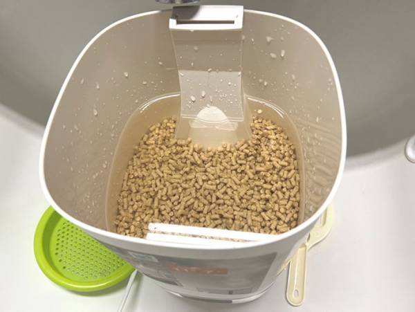 『子育てあるある』であってたまるか！　ある朝の出来事に「ひぃ！」「吹き出した」