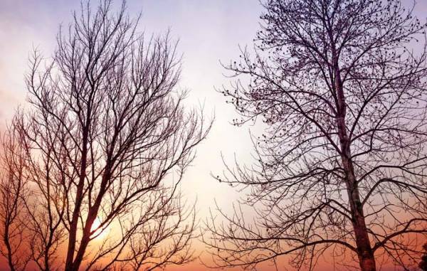 新しい自分になるのは、思うよりも難儀なこと　一つずつ、いまできることから始めてみる