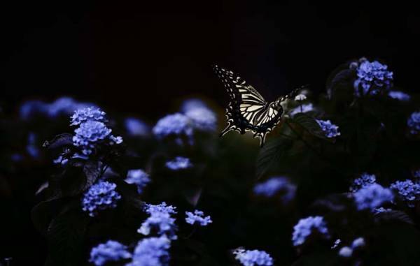 新しい自分になるのは、思うよりも難儀なこと　一つずつ、いまできることから始めてみる