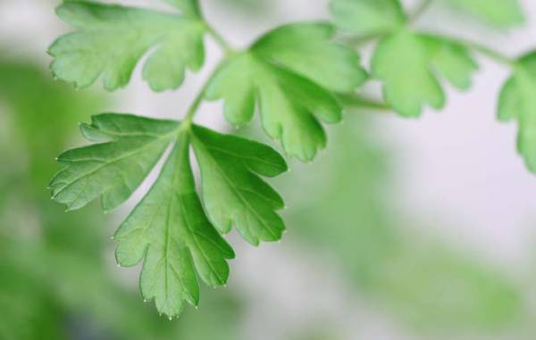 新しい自分になるのは、思うよりも難儀なこと　一つずつ、いまできることから始めてみる