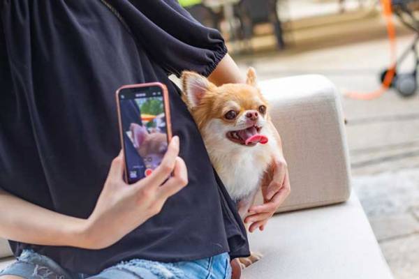 「絶対にやめてください」　SNSで目にする愛犬のかわいい動画に専門家が指摘