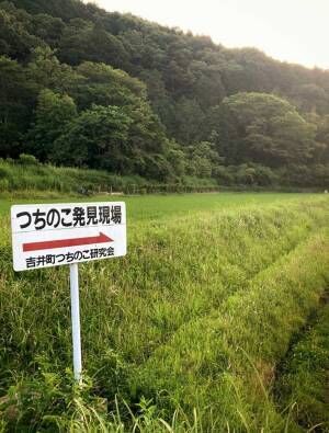 岡山で目にした生き物の発見現場の看板　「伝説上だけどやっぱりいる…？」