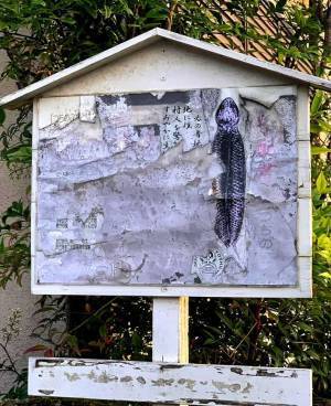 岡山で目にした生き物の発見現場の看板　「伝説上だけどやっぱりいる…？」