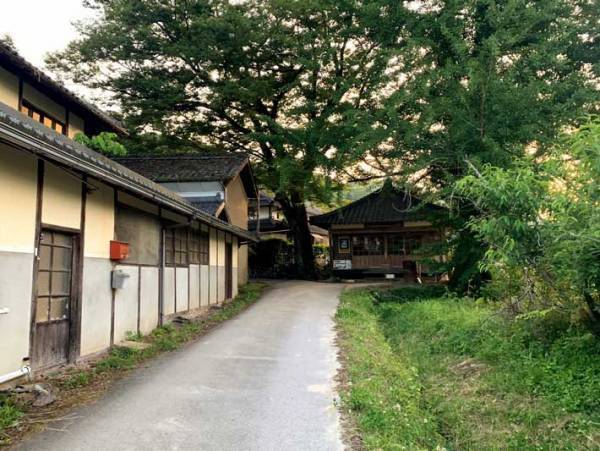 岡山で目にした生き物の発見現場の看板　「伝説上だけどやっぱりいる…？」