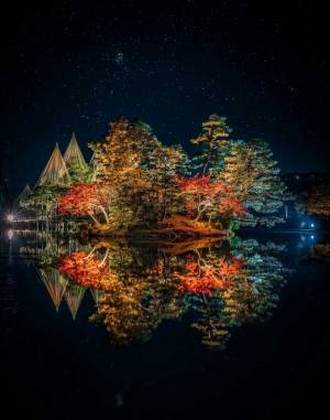 「この世のものとは思えない」　兼六園の紅葉風景が『別格』だった