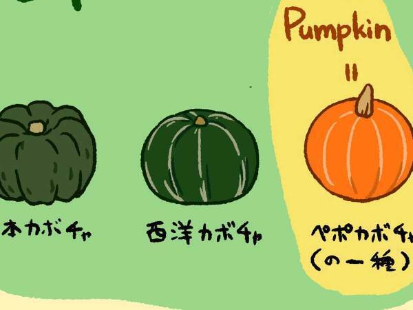 「パンプキンだけじゃない」　カボチャの英語表現が、奥深かった
