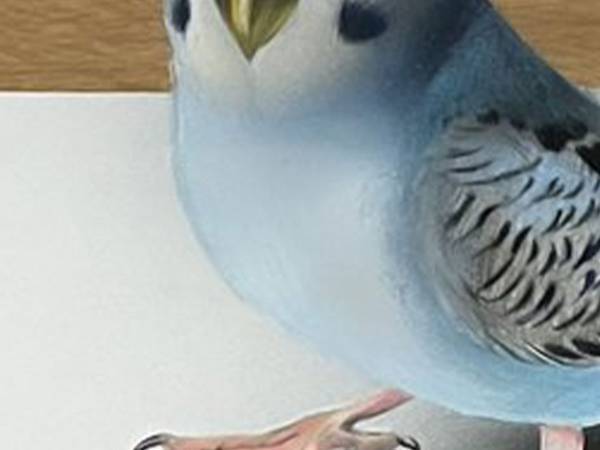 「脳がバグる」　混乱する人が続出した、１枚の画像がこちら！