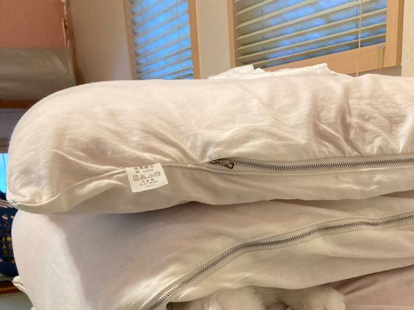 「いないと思ったら…！」　猫が見つかった場所に「どうやって！？」「吹いた」