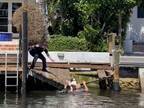 運河で犬を救助しようとした女性警察官　ところが、あまりにも重すぎて…？