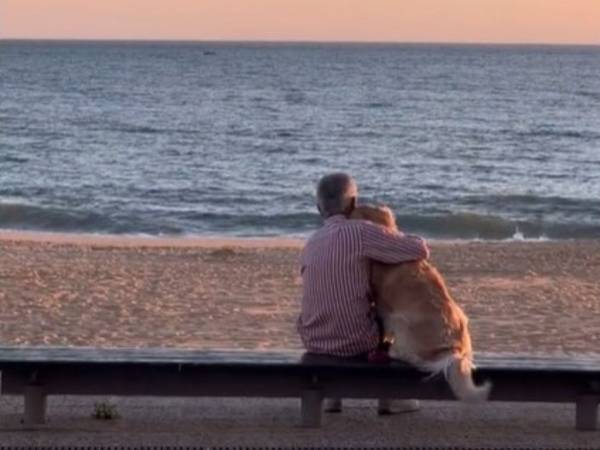 夕日に照らされながら、寄り添っているのは…？　動画に「なんて美しい瞬間」「天国ってこんな感じかな」