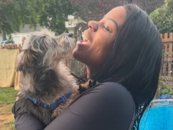 「奇跡だ」　迷子のペットを探していたら、違う犬が見つかった　実はその犬は…？