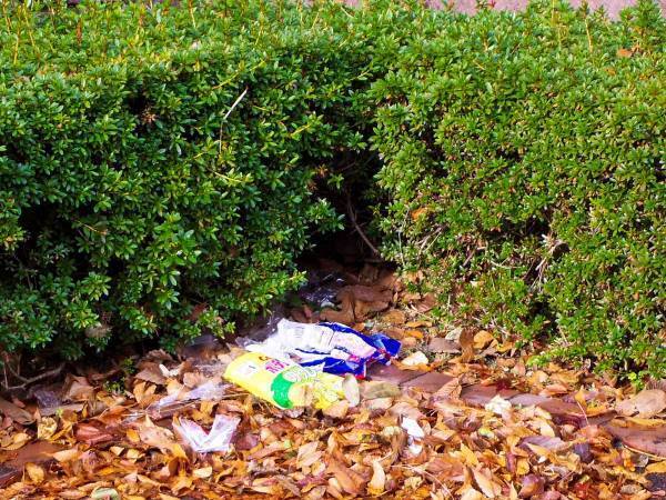 野口健が強く批判したポイ捨てされていたゴミに「危険すぎる」「ひどい」