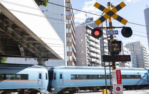 息子が希望した『斬新な仮装』　スケッチを元に製作したら「脱帽」「売ってほしい」