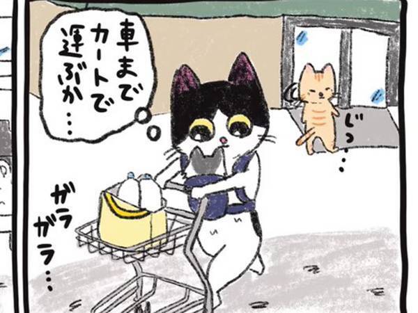 赤ちゃん連れで重い荷物を運んだ、母親　見知らぬ女性が発した言葉に、涙…