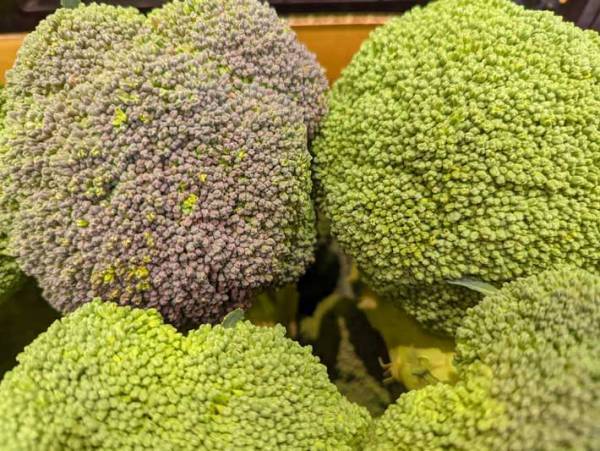 「紫色のブロッコリーを避けないで」　青果店からのお願いに「もったいないことしてた」の声