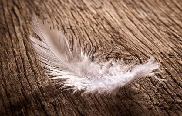 「もういないんだ」胸の奥にあるぽっかりとした空洞を埋めるのは？