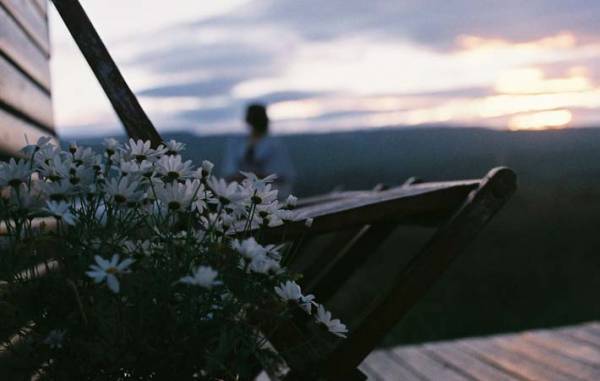 「もういないんだ」胸の奥にあるぽっかりとした空洞を埋めるのは？