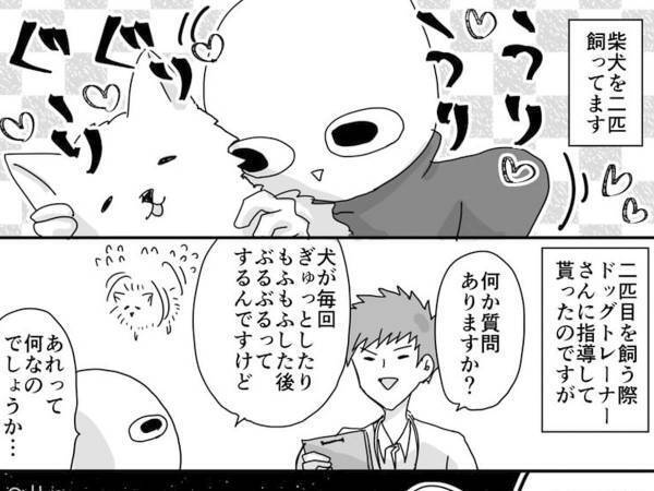 柴犬の『謎行動』をドッグトレーナーに聞いたら…返答に悲しみ！