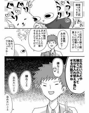 柴犬の『謎行動』をドッグトレーナーに聞いたら…返答に悲しみ！