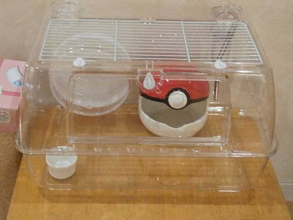 「ずっと『虚無』を飼っている」　１枚の写真に、吹き出す人が続出