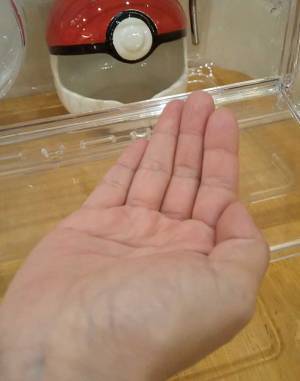 「ずっと『虚無』を飼っている」　１枚の写真に、吹き出す人が続出