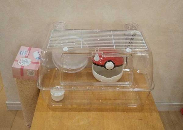 「ずっと『虚無』を飼っている」　１枚の写真に、吹き出す人が続出