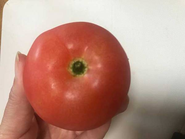 サラダを作るときにおすすめ！　中から汁が出てこないトマトの切り方