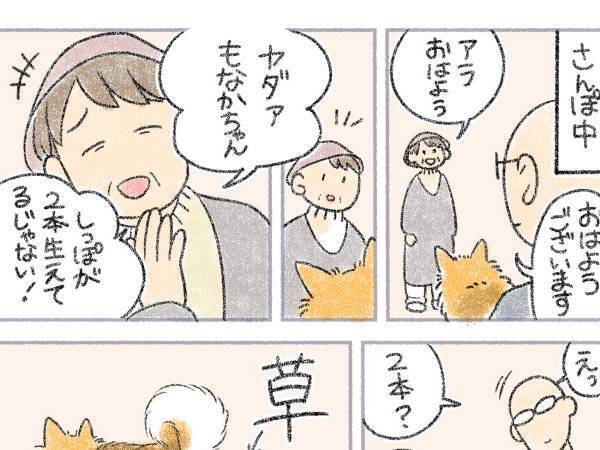 近隣住民の一言に、飼い主「なんで？」　犬に起こった珍事に「吹いた」「どういうこと！？」