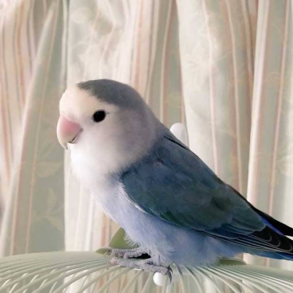 ボロボロの不在票でも、笑顔で対応した郵便局員　なぜなら？　「これは笑っちゃうだろ」