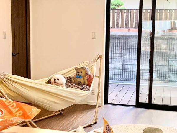 嬉しそうに立ち上がる犬　見つめる先にいるのは、飼い主ではなく…？