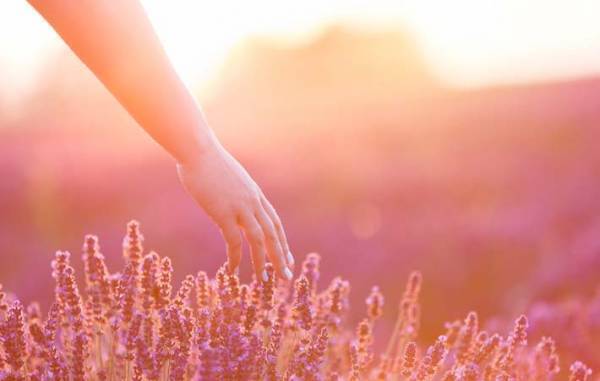 世界のあちらこちらで波立っているような今、自分の小さな両手でできること