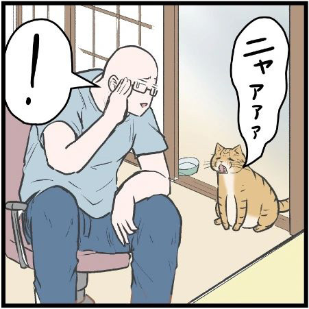 虫歯が痛すぎて眠れない男性　猫の行動に「笑った」「めちゃくちゃ分かる」