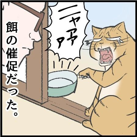 虫歯が痛すぎて眠れない男性　猫の行動に「笑った」「めちゃくちゃ分かる」