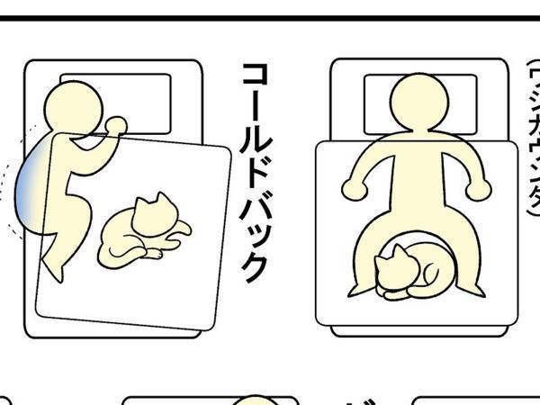 愛猫と寝るのも、楽じゃない！　飼い主の苦労が伝わる１枚がコチラ