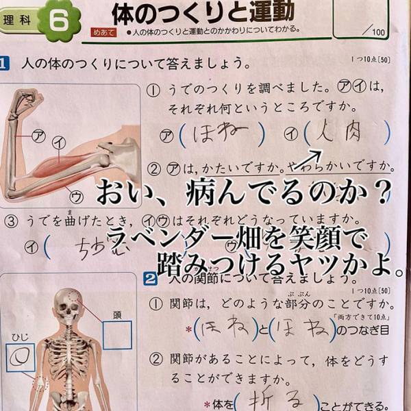 小学４年生のドリル　『しぜん』ほご活動に参加する…長男の解答が斜め上すぎる！