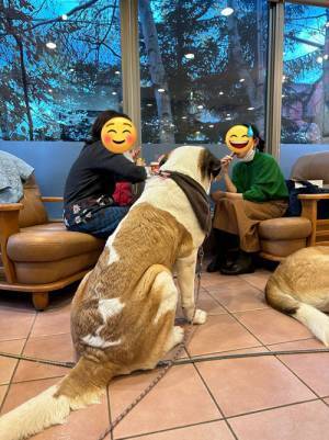 食事中の客を、見守ってくれるのは？　店主「食べにくいと評判です」